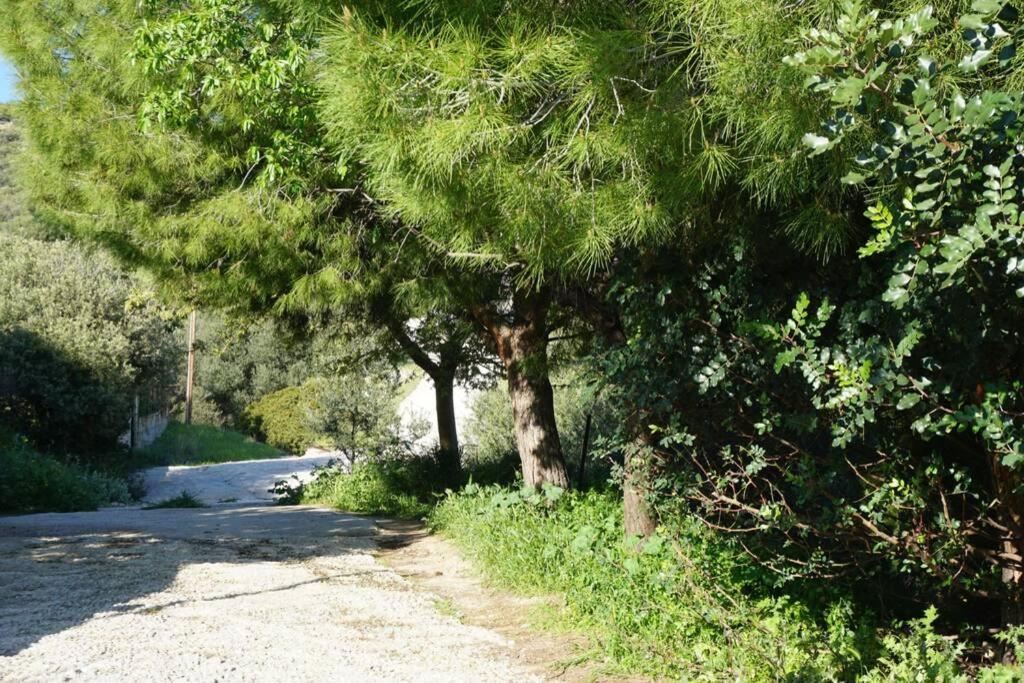 Cosy Guest House With Private Yard Saronida Exterior foto